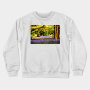 Bluebell Woods Basildon Park Reading Crewneck Sweatshirt